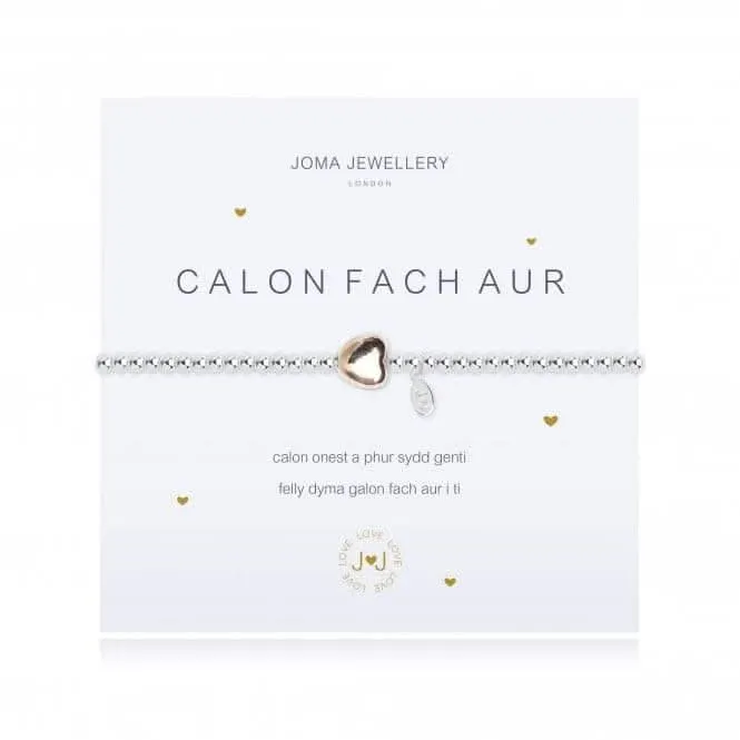 A Little Heart Of Gold Welsh Bracelet 876 Joma Jewellery