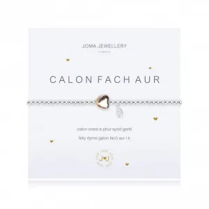 A Little Heart Of Gold Welsh Bracelet 876 Joma Jewellery
