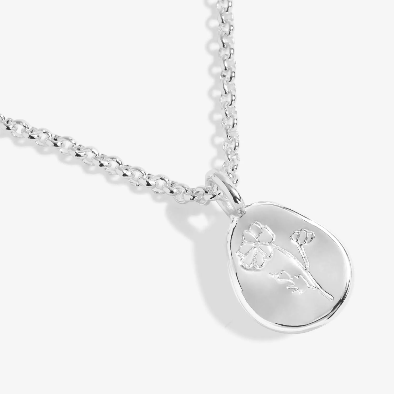 Birth Flower A Little October Cosmos Silver Plated Necklace 7468 Joma Jewellery