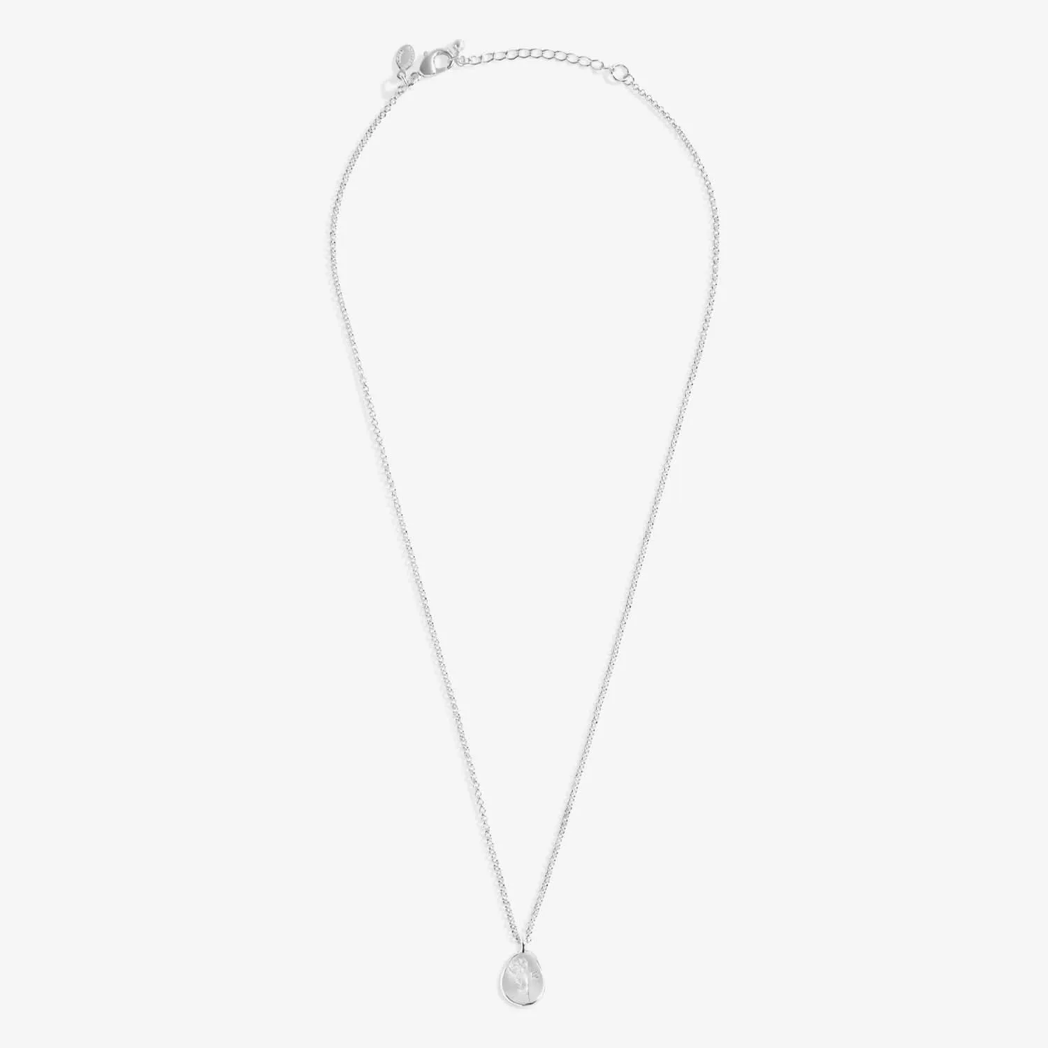 Birth Flower A Little October Cosmos Silver Plated Necklace 7468 Joma Jewellery