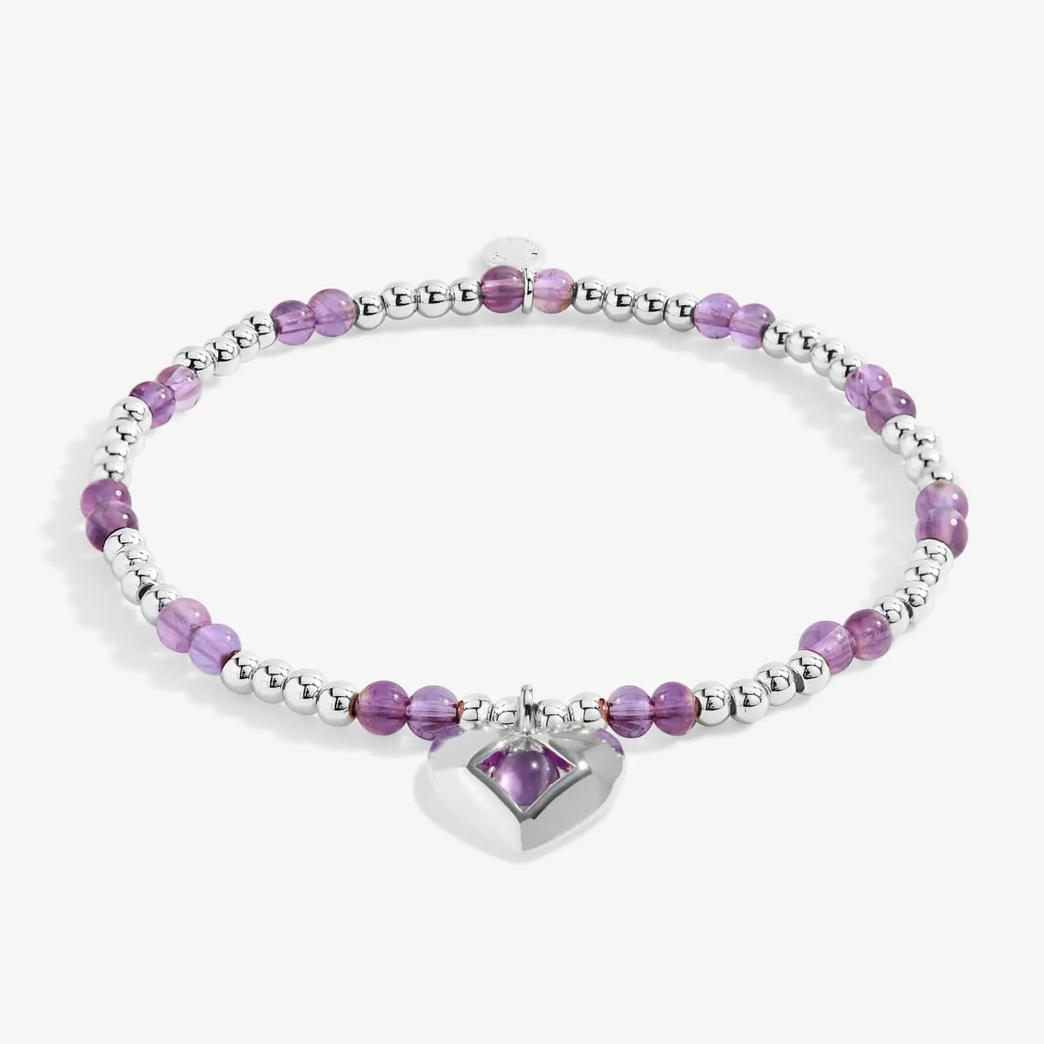 Birthstone A Little February Amethyst Silver Plated Bracelet 8316 Joma Jewellery