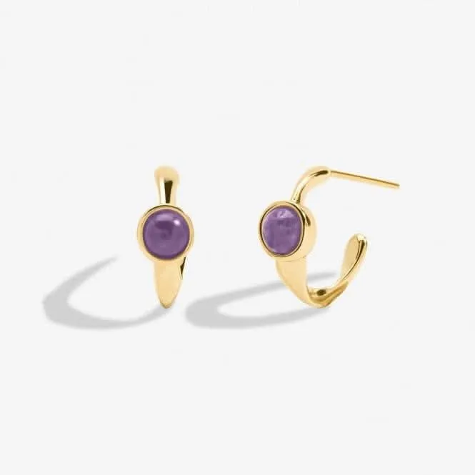Birthstone Hoop Earring February Gold Plated Earrings 6748 Joma Jewellery