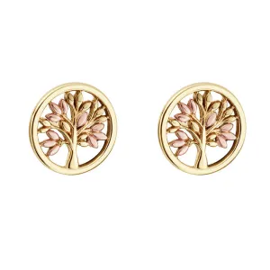 Clogau Jewellery Clogau Tree of Life 9ct Gold Stud Earrings