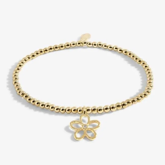 Golden Glow A Little Lovely Daughter Gold 17.5cm Bracelet 5952 Joma Jewellery
