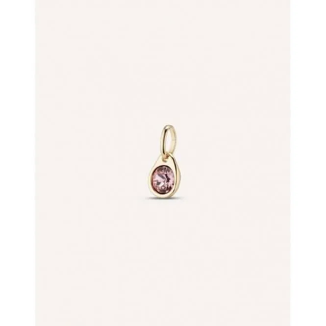 Rose Rosa Faceted Crystal Charm CHA0079RSAORO0U Unode50 Jewelry And Accessories