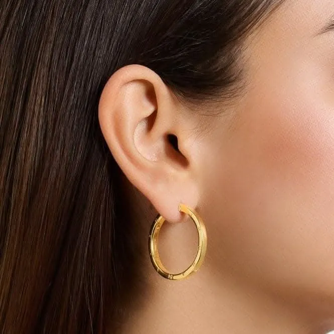 Sterling Silver Gold Plated Hoop Earrings CR686-413-39 Thomas Sabo Earrings