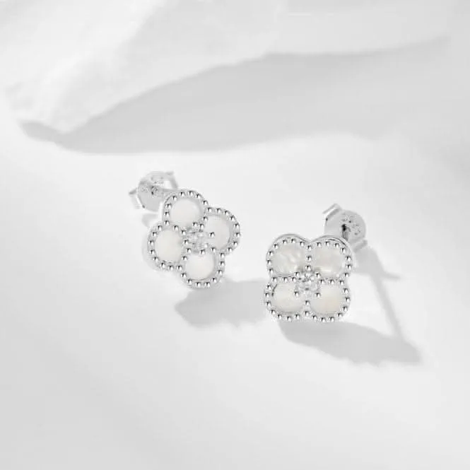 Sterling Silver Rhodium Plated White Lucky 4 Leaf Earrings ERLE079 Ania Haie Jewellery