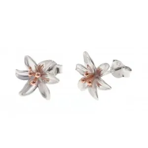 Sterling Silver Rose Gold Plated Lily Stud Earrings ERLE012 Ania Haie Jewellery