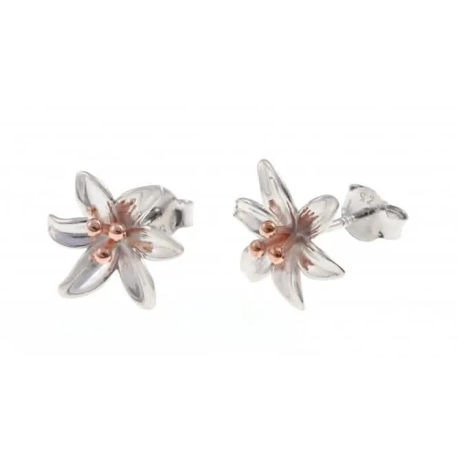 Sterling Silver Rose Gold Plated Lily Stud Earrings ERLE012 Ania Haie Jewellery